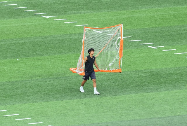可靠的左后