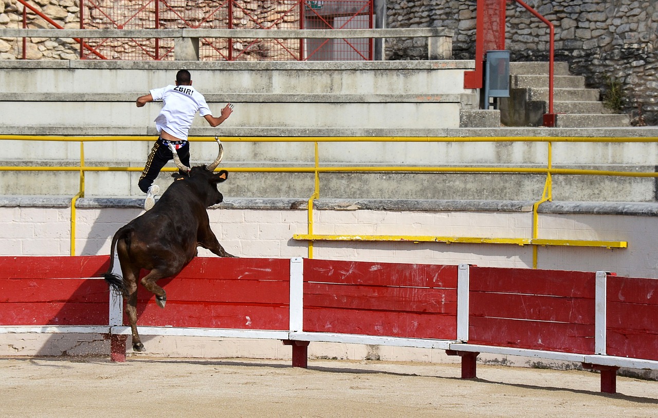 上风