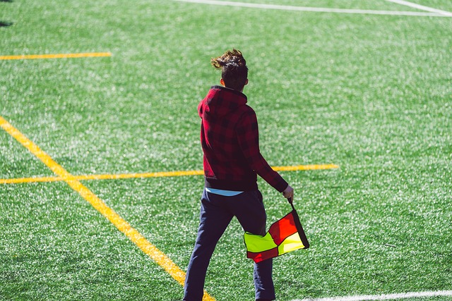 历史中汲取 历史中汲取