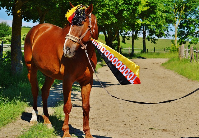 定着赛场上 定着赛场上