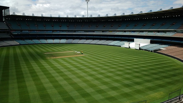 他擅长使用 他擅长使用