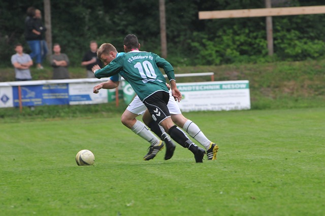 大开发战略 大开发战略