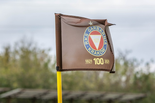 和才华在国 和才华在国